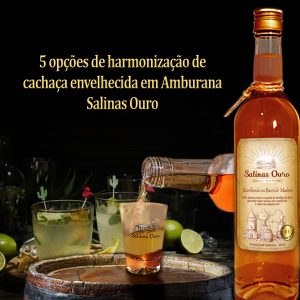 5-opçoes-de-harmonizaçao-de-cachaça-envelhecida-em-Amburana-3